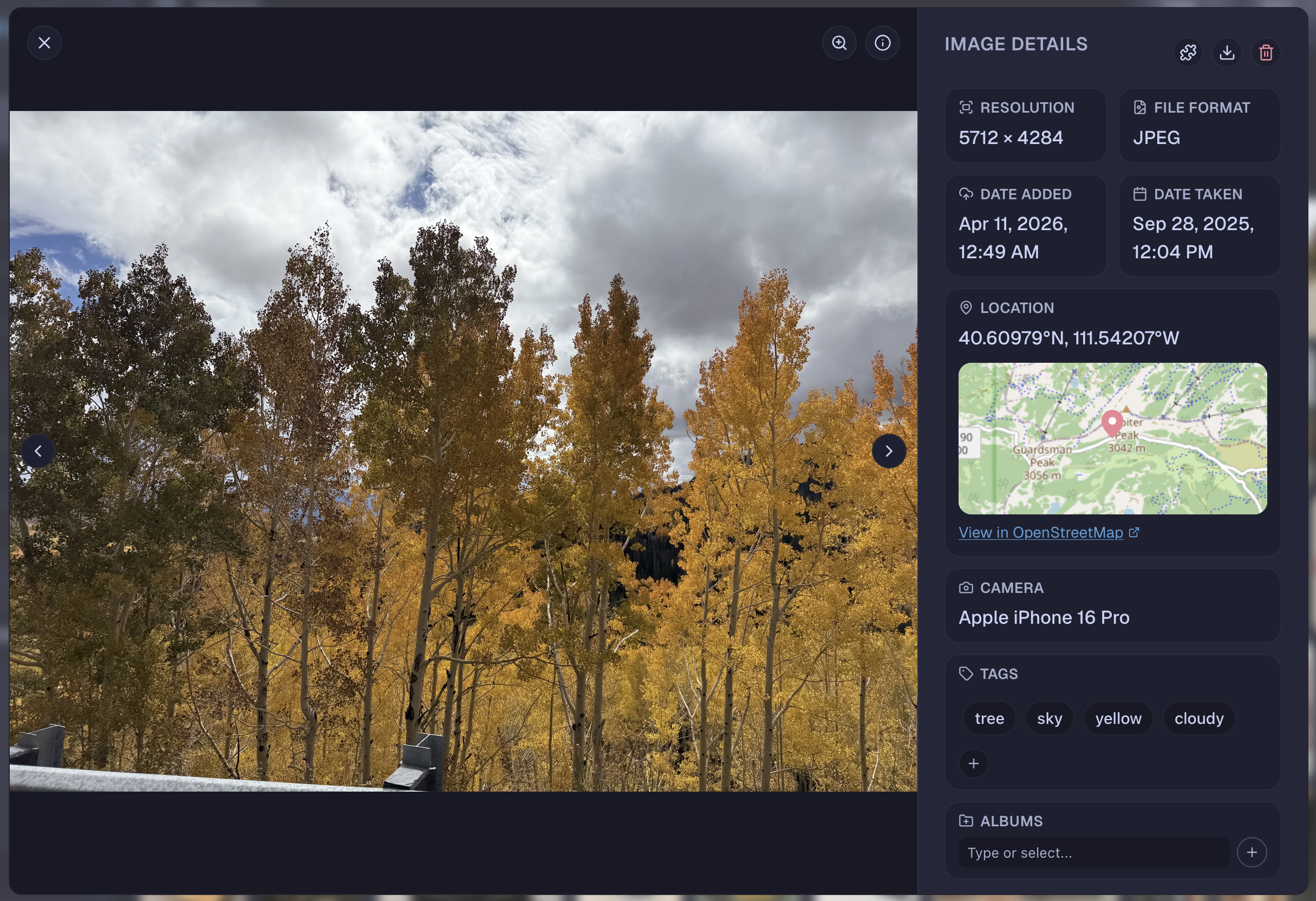 Screenshot of Image Preview Window